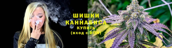 спиды Белокуриха