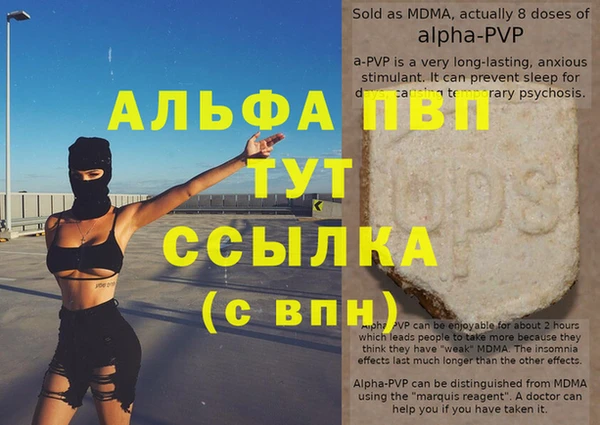 спиды Белокуриха