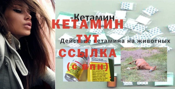 спиды Белокуриха